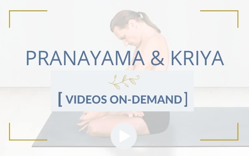Pranayama & Kriya